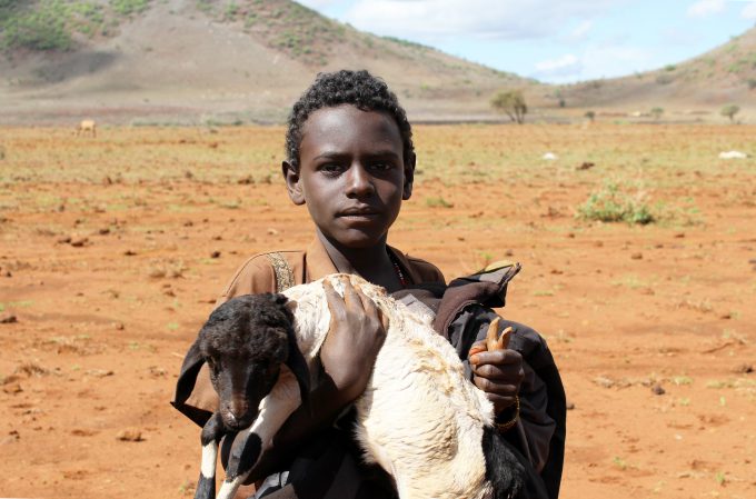 droogte in kenia