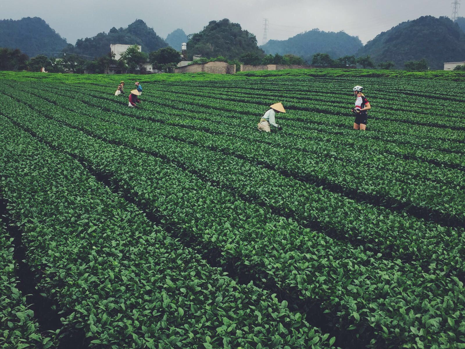 Cycle Vietnam