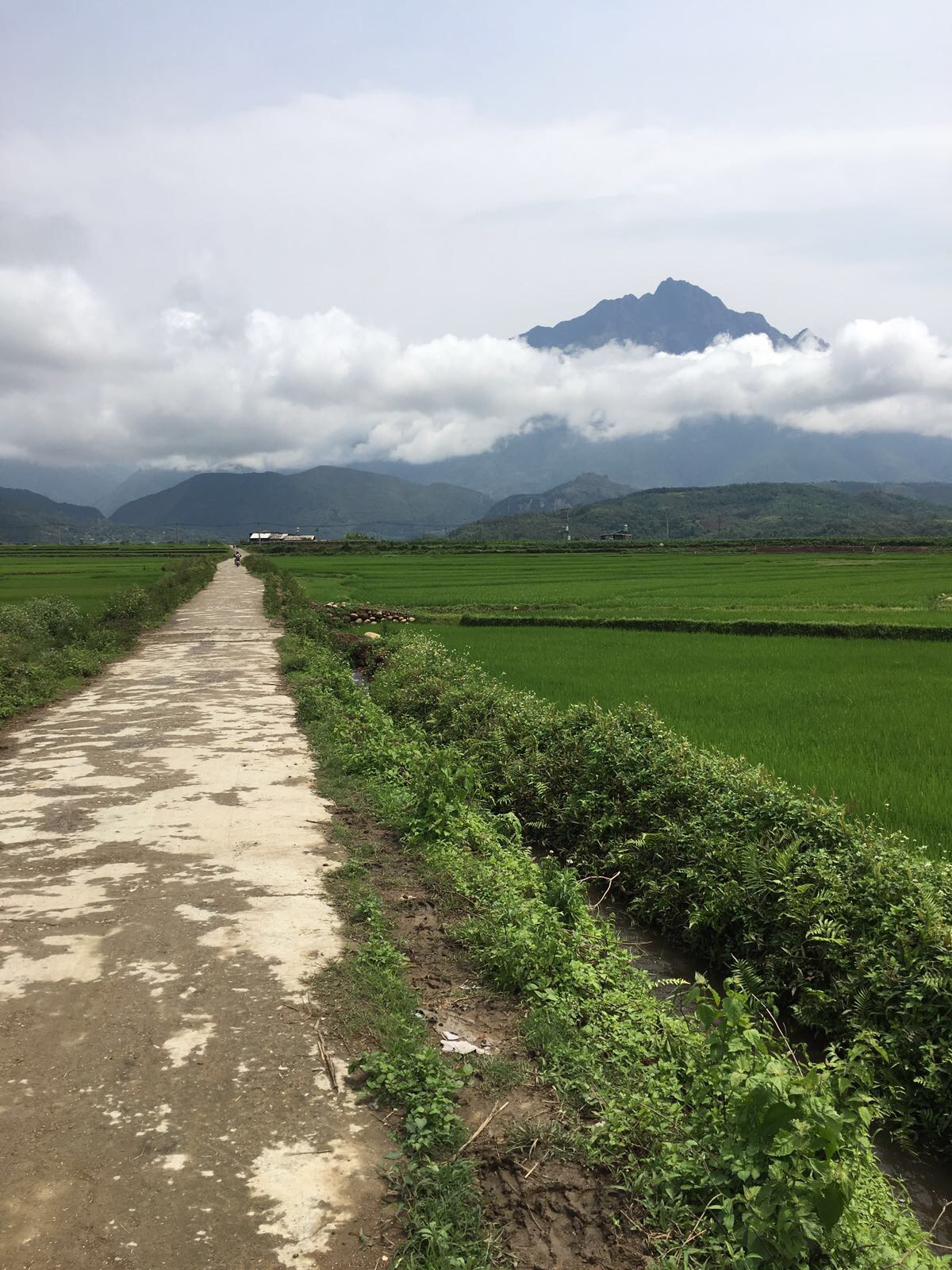Cycle Vietnam